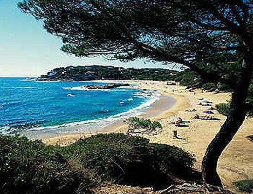 Evenia Olympic Palace 4* Lloret de Mar
